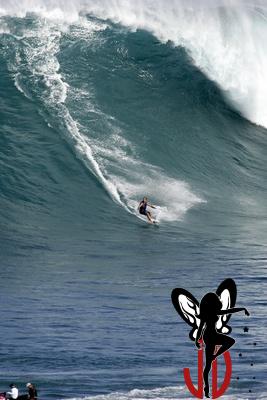 Jaws14