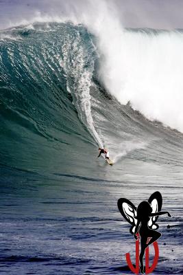 Jaws15
