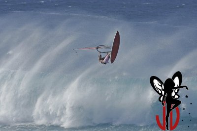 Ross Williams08