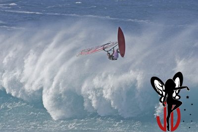 Ross Williams07