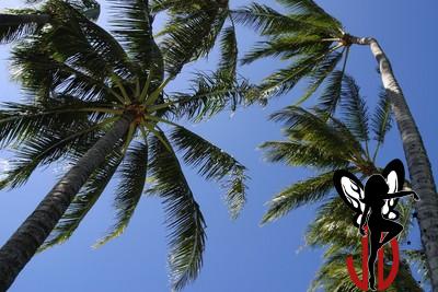 Palmtrees