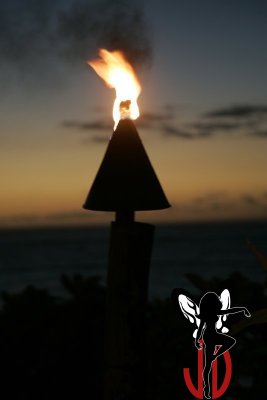img48
